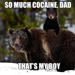 Cocaine bears