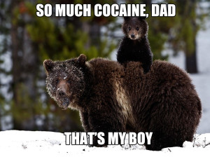 Cocaine bears