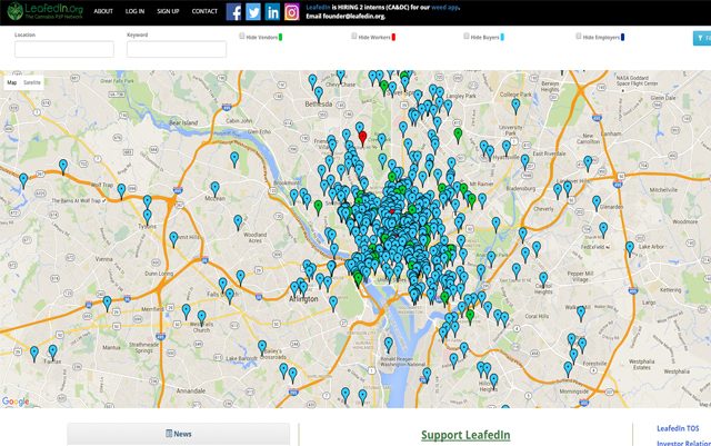 A zoomed in look of accounts in the Washington, D.C. metro area on the LeafedIn app. Image Courtesy of LeafedIn.